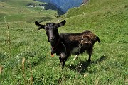 25 Piacevoli incontri